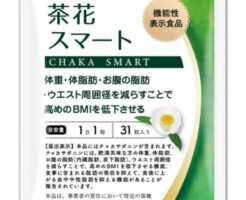 DMJえがお生活「茶花スマート」